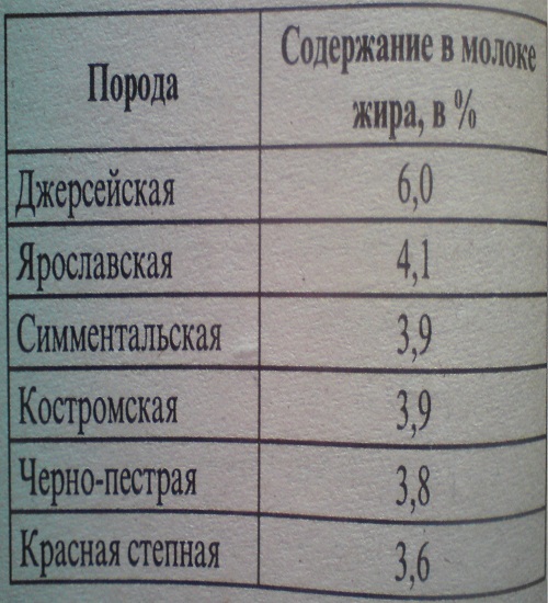 Содержание жира в молоке в зависимости от породы коров