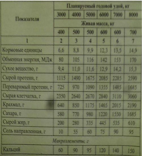 Максимальные нормы скармливания кормов молочным коровам